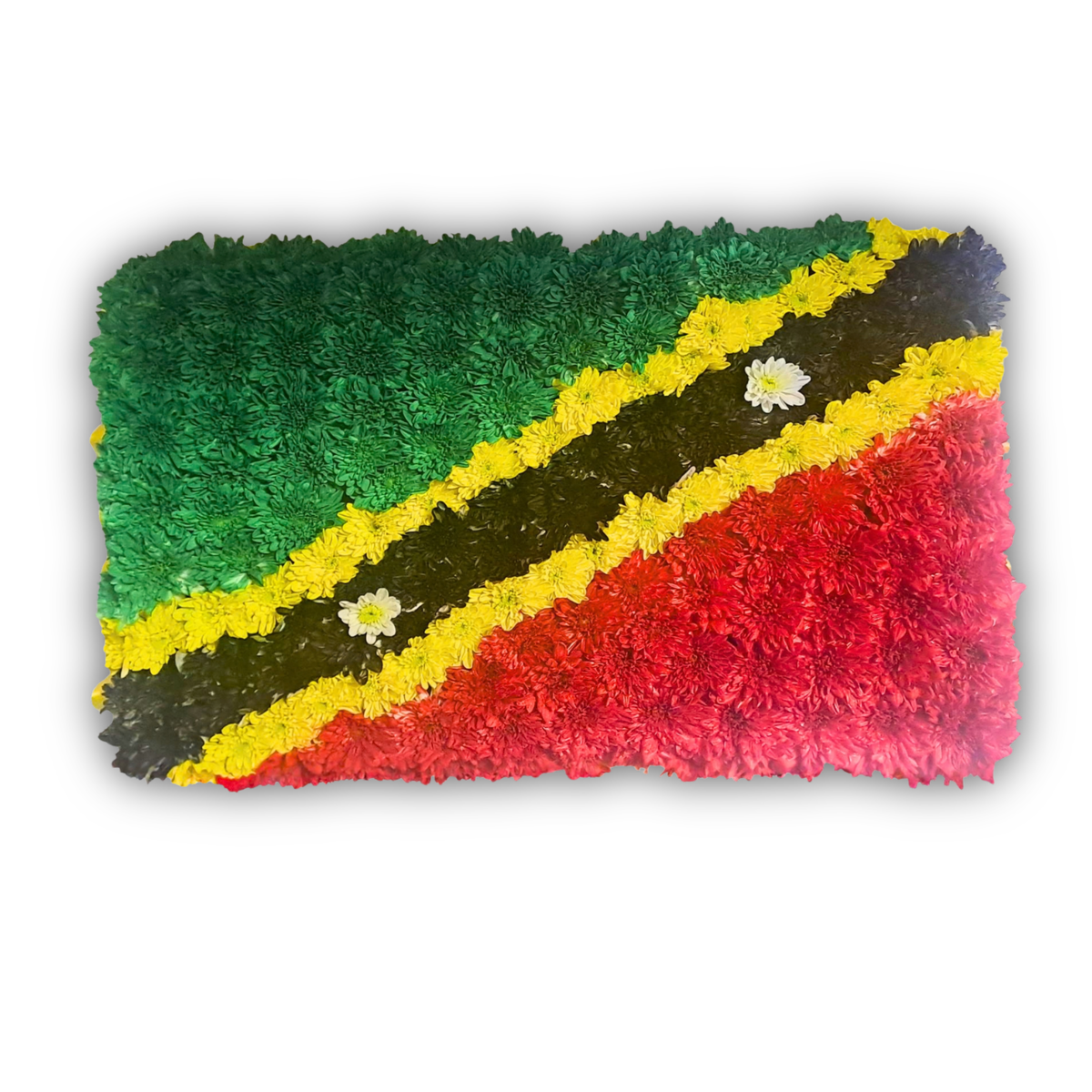 St Kitts and Nevis Flag Tribute